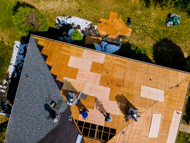 Best Roof Restoration Services  in Yale, MI