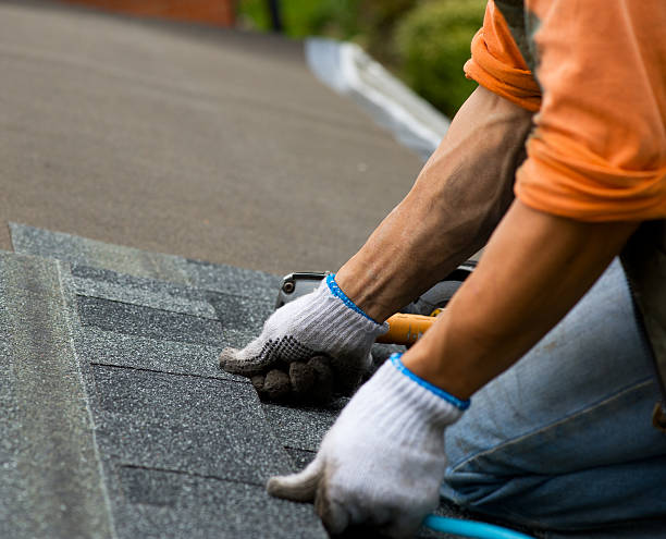 Best Roof Repair Services  in Yale, MI